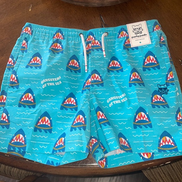 Party Pants Other - PARTY PANTS CHILDREN’S SWIM TRUNKS